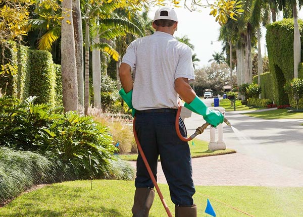 About Clyde NY Pest Control